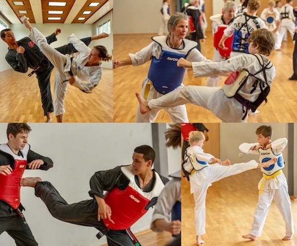 Taekwondo Training in Bonn 